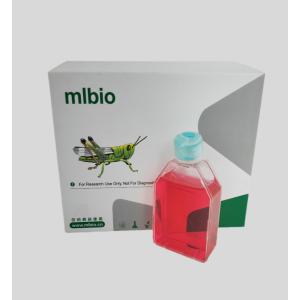 兔肺泡巨噬細(xì)胞主圖