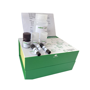 氨含量測(cè)定試劑盒微板法/96樣主圖