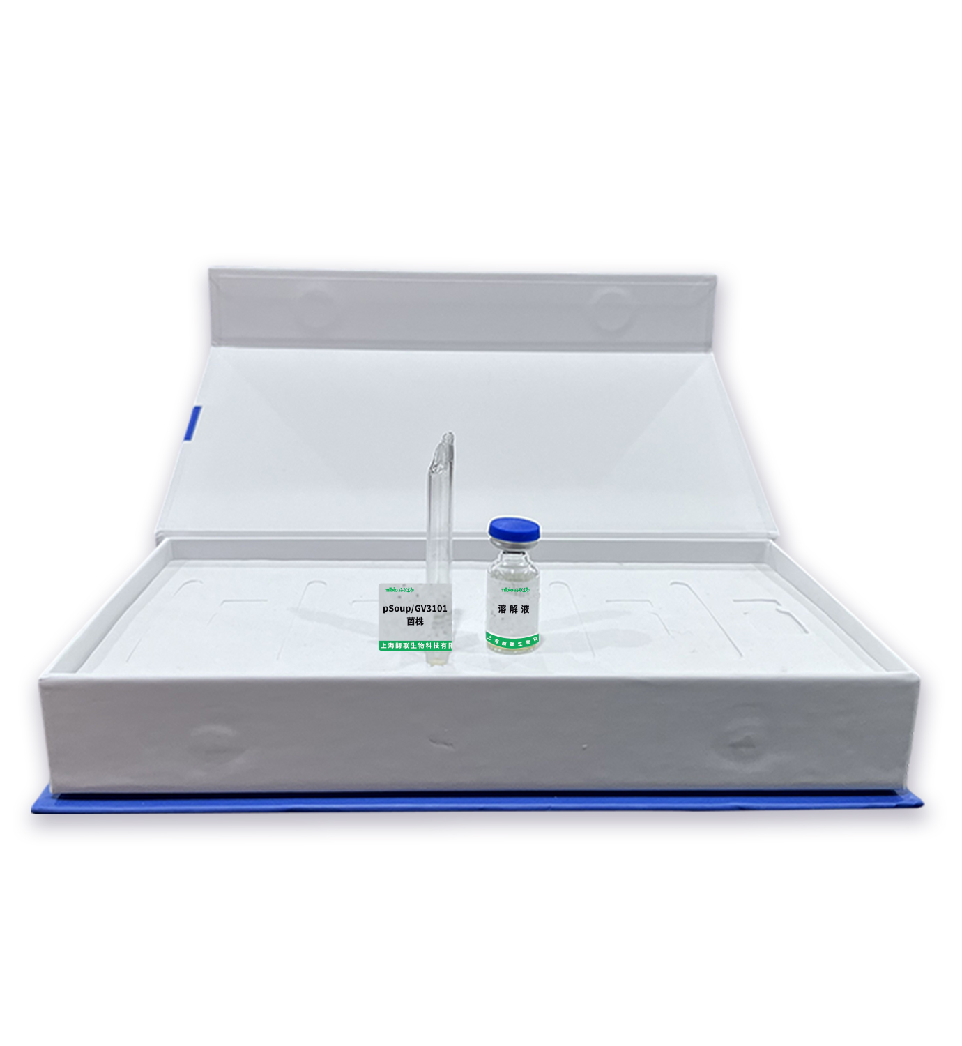 pSoup/GV3101菌株主圖