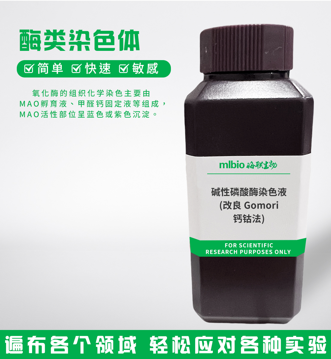 堿性磷酸酶染色液(改良Gomori鈣鈷法)主圖