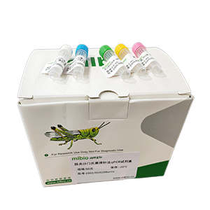 水泡性口炎病毒印第安納型探針法qRT-PCR試劑盒(不含內參)主圖