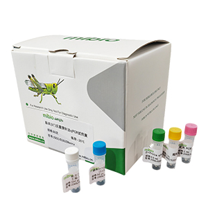 巴斯德畢赤酵母細(xì)胞基因組DNA殘留探針?lè)╭PCR試劑盒(不含內(nèi)參)主圖