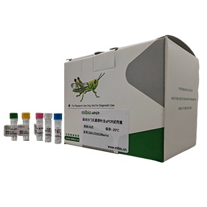 柯薩奇病毒A22型變種探針法qRT-PCR試劑盒(不含內參)主圖