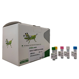 柯薩奇病毒A23型變種探針法qRT-PCR試劑盒(不含內(nèi)參)主圖