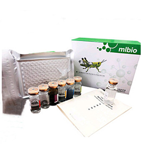 大鼠蛋白激酶B(PKB)ELISA檢測試劑盒主圖