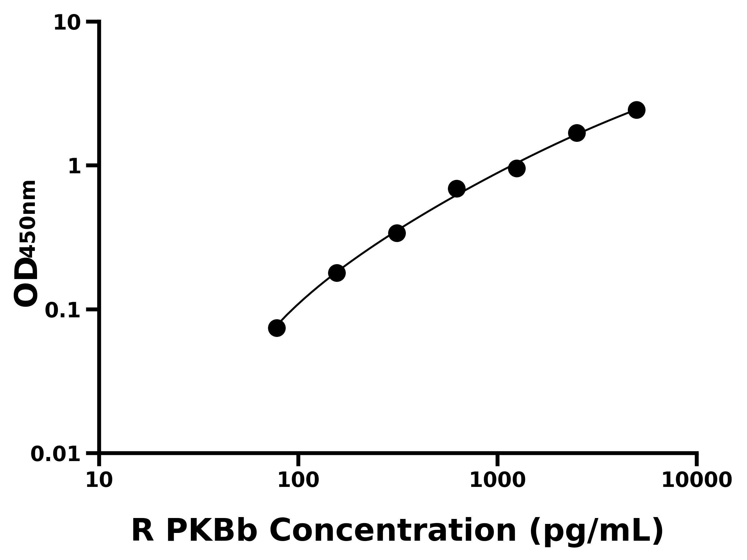 大鼠蛋白激酶Bβ(PKBb)主圖